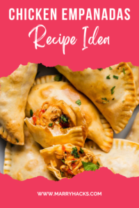 Chicken Empanadas Recipe Idea